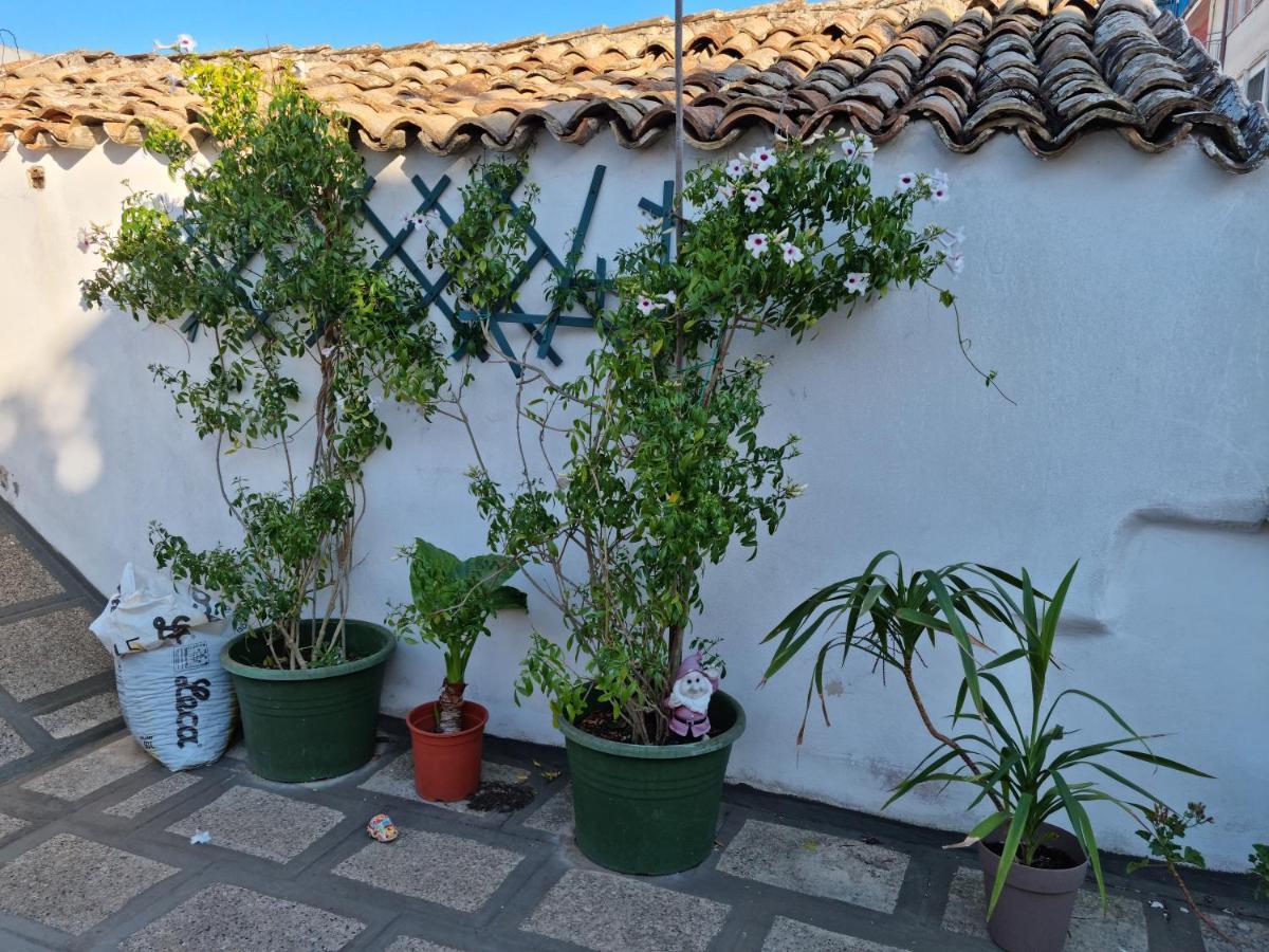 Green Palace Μπρίντιζι Εξωτερικό φωτογραφία