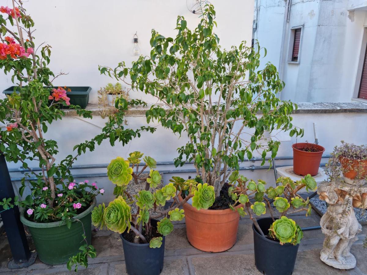 Green Palace Μπρίντιζι Εξωτερικό φωτογραφία